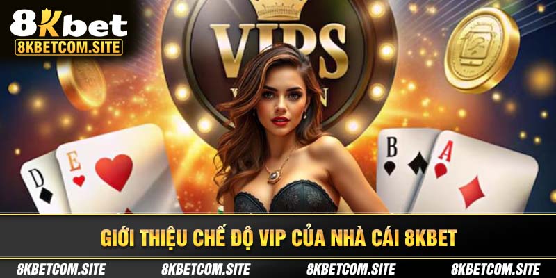 Tìm hiểu về chế độ thành viên VIP tại nhà cái 8KBET